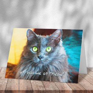 You Had Me at Meow Cute Grey Cat Photography Bold Card