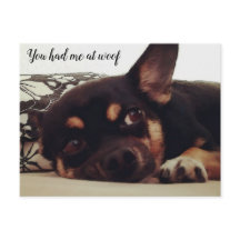 You had me at woof. Chihuahua postcard.
