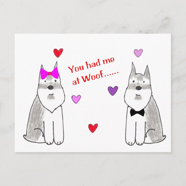 You Had Me At Woof Schnauzer Postcard (Front)