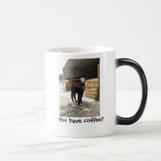 You have coffee? mug