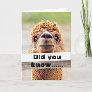YOU KNOW ""I LOVE YOU"" CELEBRATE HOLIDAY TOGETHER CARD