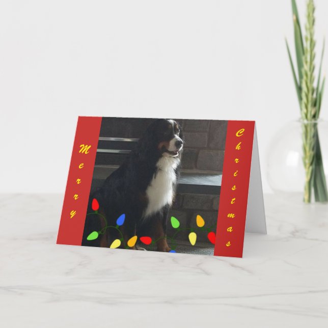 **YOU LIGHT UP MY LIFE** MERRY CHRISTMAS HOLIDAY CARD (Front)