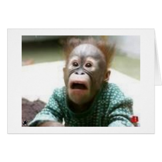 YOU LOOK LIKE A MONKEY TOO (Front Horizontal)