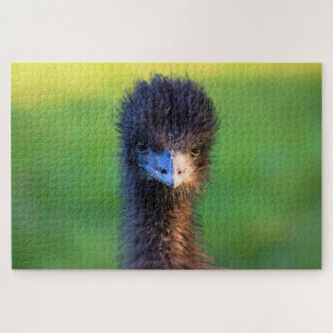 You Lookin' at Me?  -  Emu Jigsaw Puzzle - 20x30