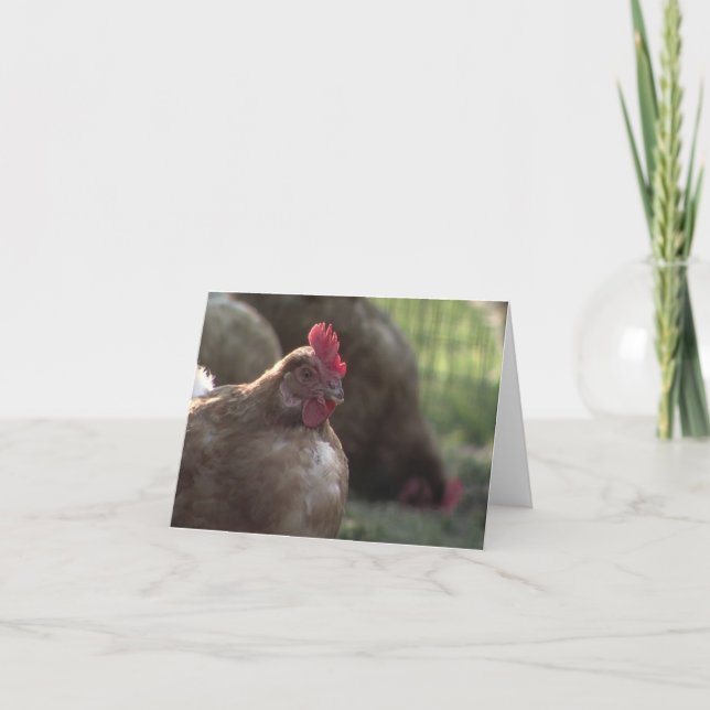 You Lookin' At Me? Note Cards (Front)