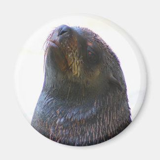 You looking at me ! magnet