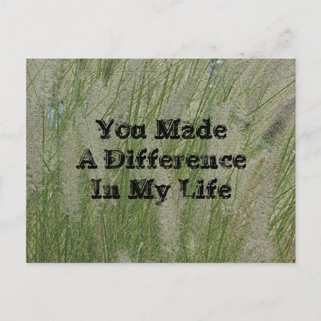 You Made Difference Desert Grass Thanks Teacher Postcard (Front)