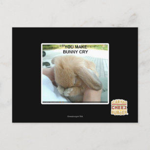 You make bunny cry postcard