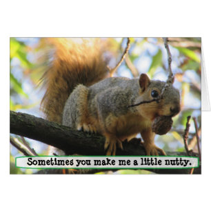 You make me Nutty, Squirrel Humour Card
