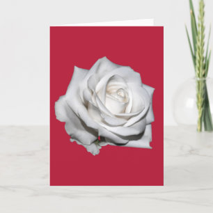 You Mean The World To Me Greeting Kard Card