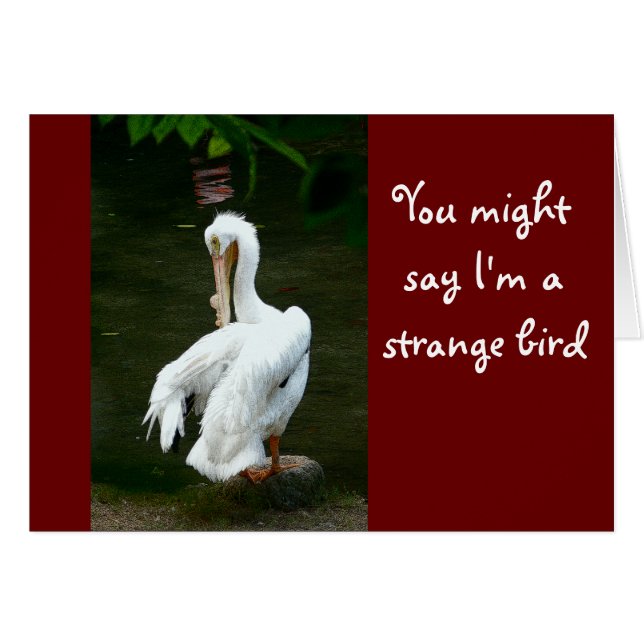"YOU MIGHT SAY I'M A STRANGE BIRD..." /UNUSUAL LOO (Front Horizontal)