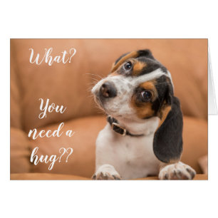 You Need a Hug by a Beagle Puppy Card
