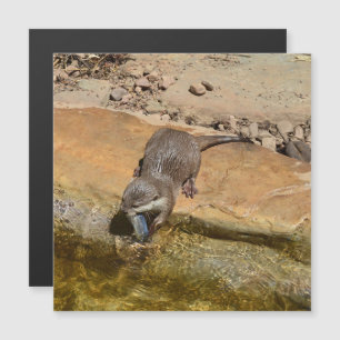 You Otter Not Talk To Me I'm Eating