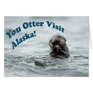You Otter Visite l'Alaska