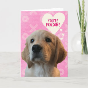 You’re PAWSOME Golden Love Valentine’s Day Card