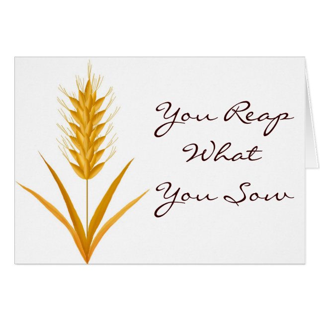 You Reap What You Sow Wheat Card (Front Horizontal)