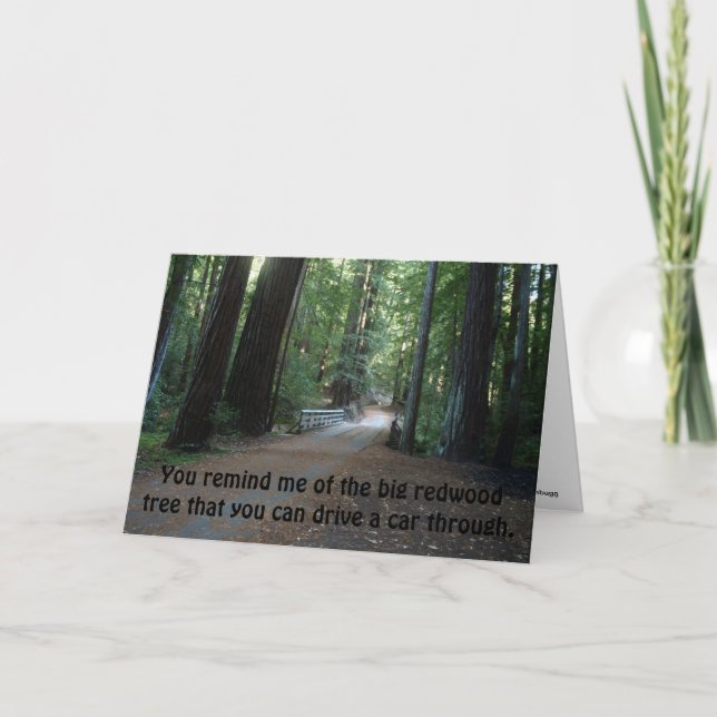 You remind me of the big redwood tree card (Front)