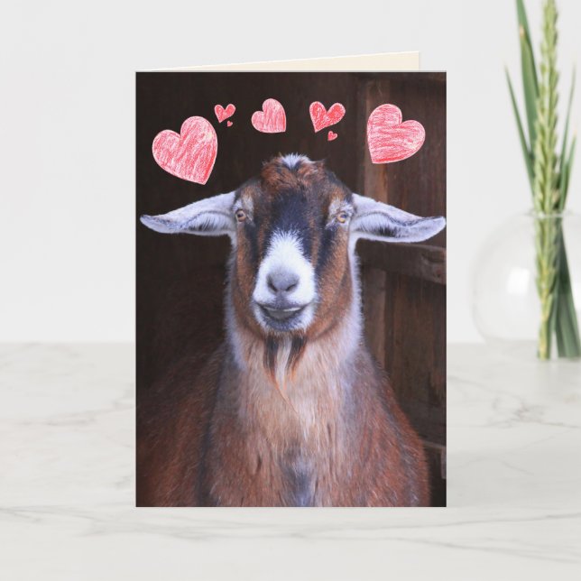 You Rock My World Goat Valentine Holiday Card (Front)
