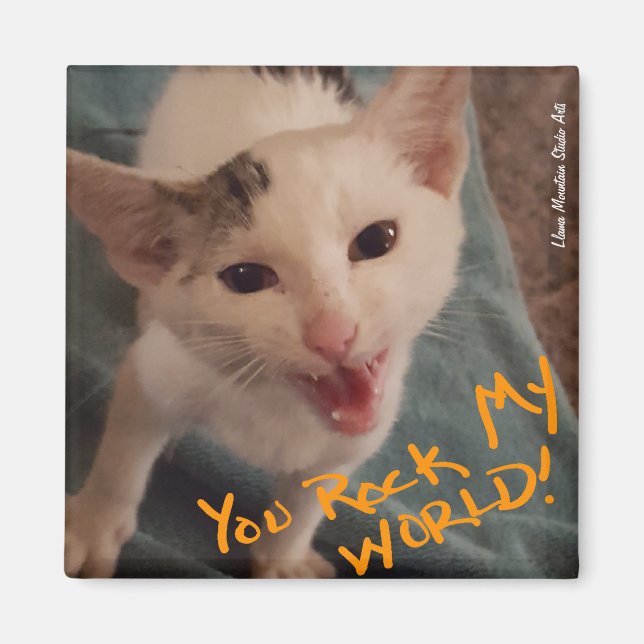 You Rock My World! kitten magnet (Front)