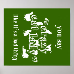 You Say Crazy Cat Lady Like It's A Bad Thing Poster