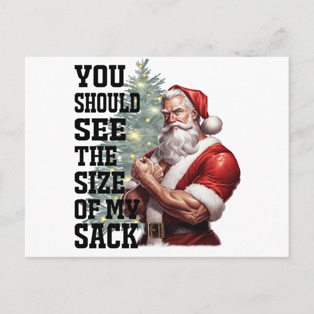 You Should See The Size My Sack  Holiday Postcard (Front)