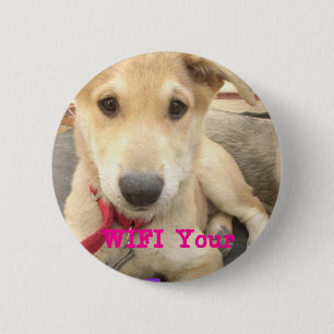 You Should WIFI Your Love Everyday 2 Inch Round Button