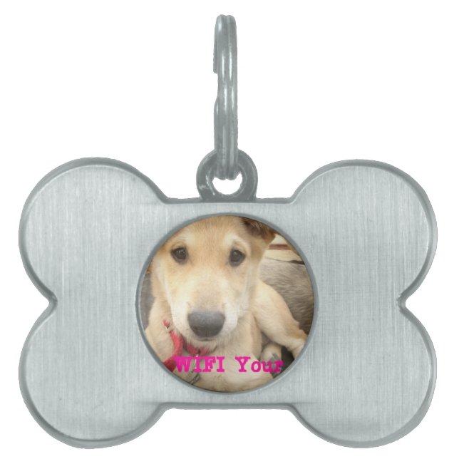 You Should WIFI Your Love Everyday Pet Tag (Front)