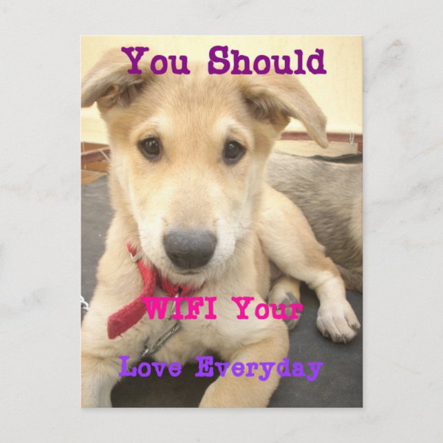 You Should WIFI Your Love Everyday Postcard (Front)