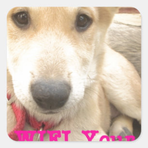 You Should WIFI Your Love Everyday Square Sticker