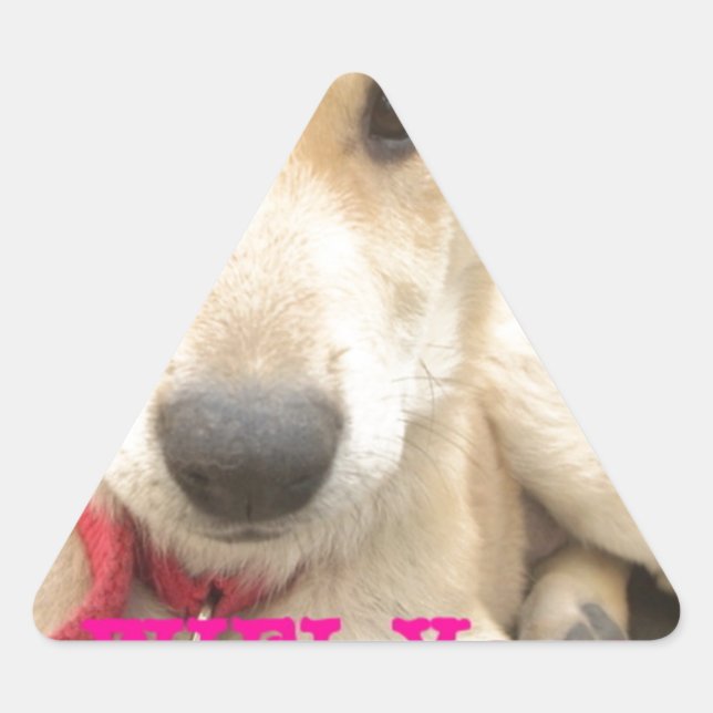 You Should WIFI Your Love Everyday Triangle Sticker (Front)