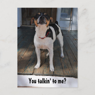 You talkin' to me? postcard