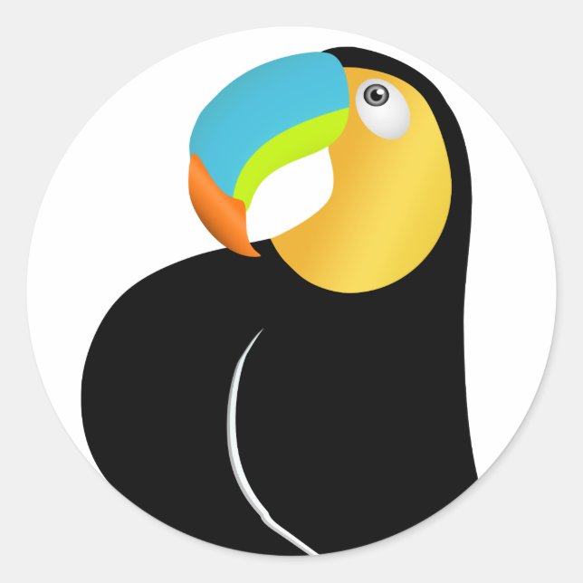 You Toucan Focus. Classic Round Sticker (Front)