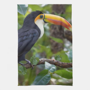You Toucan Sit In The Treetops, Kitchen Towel