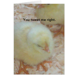 You tweet me right.
