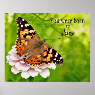 You Were Born to Shine Poster