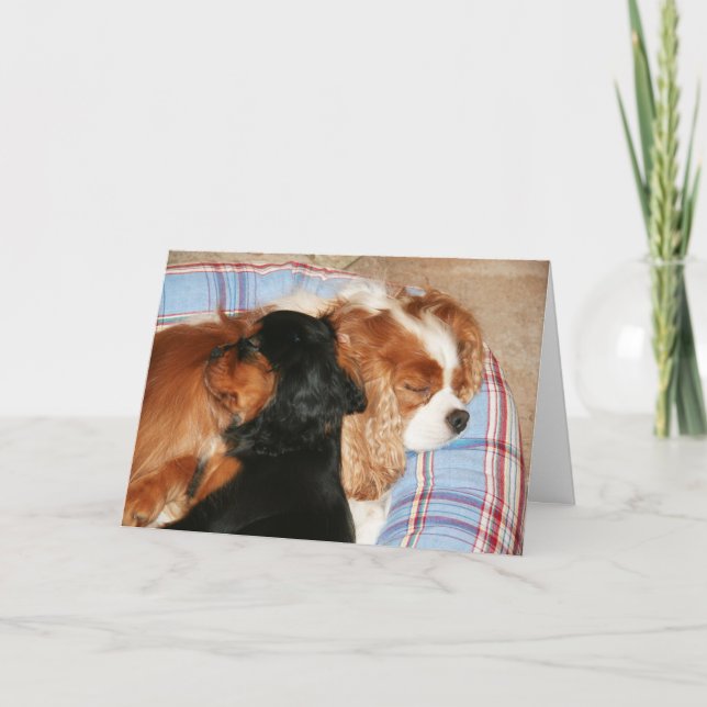 You Will Lick Cancer Cavalier King Charles Spaniel Card (Front)