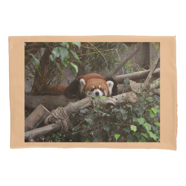 You will sleep well with cute watching Red Panda. Pillowcase (Front)