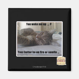 You woke me up magnet