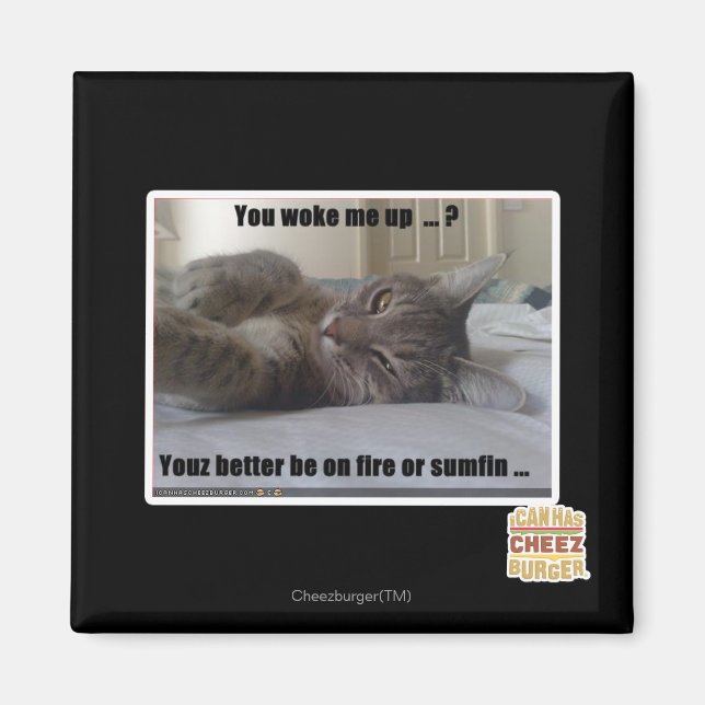 You woke me up magnet (Front)