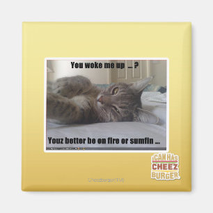 You woke me up magnet
