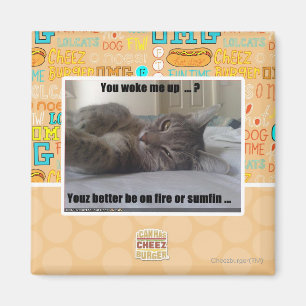 You woke me up magnet