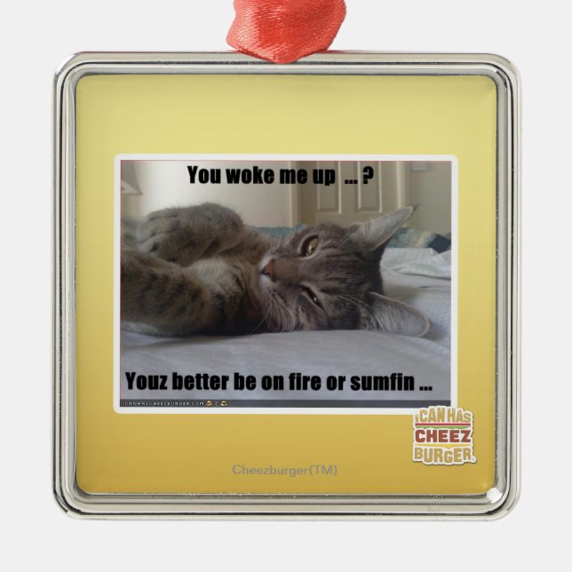 You woke me up metal ornament (Front)