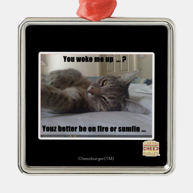 You woke me up metal ornament (Front)