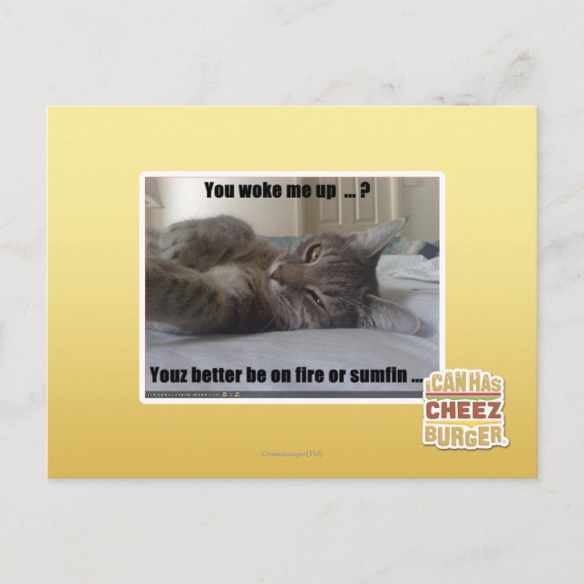You woke me up postcard (Front)
