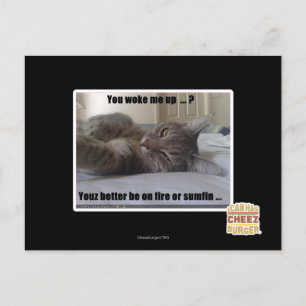 You woke me up postcard