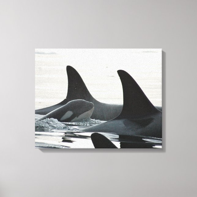 You'll Never Swim Alone Canvas (Front)