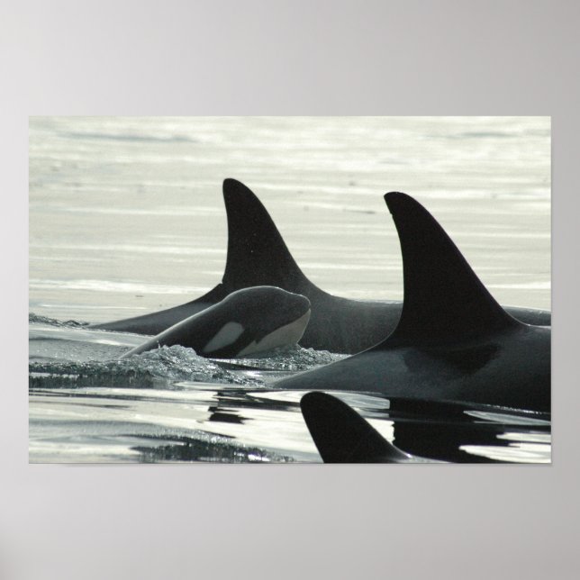 You'll Never Swim Alone Poster (Front)
