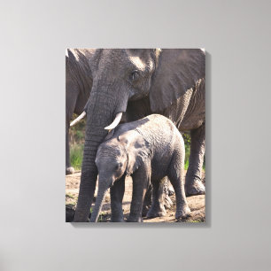 Young African Elephant With Baby Canvas Print