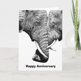 Young African Elephants Anniversary Card