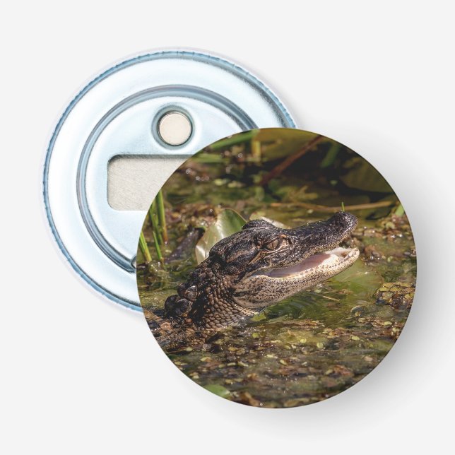 Young Alligator Bottle Opener (Front)
